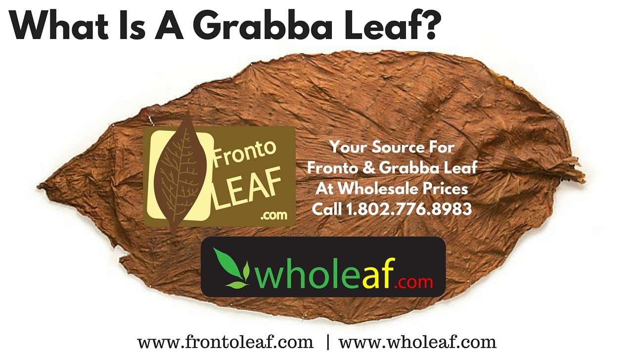 What Is A Grabba Leaf, Grabba Leaf Is A Way To Smoke Fronto Leaf